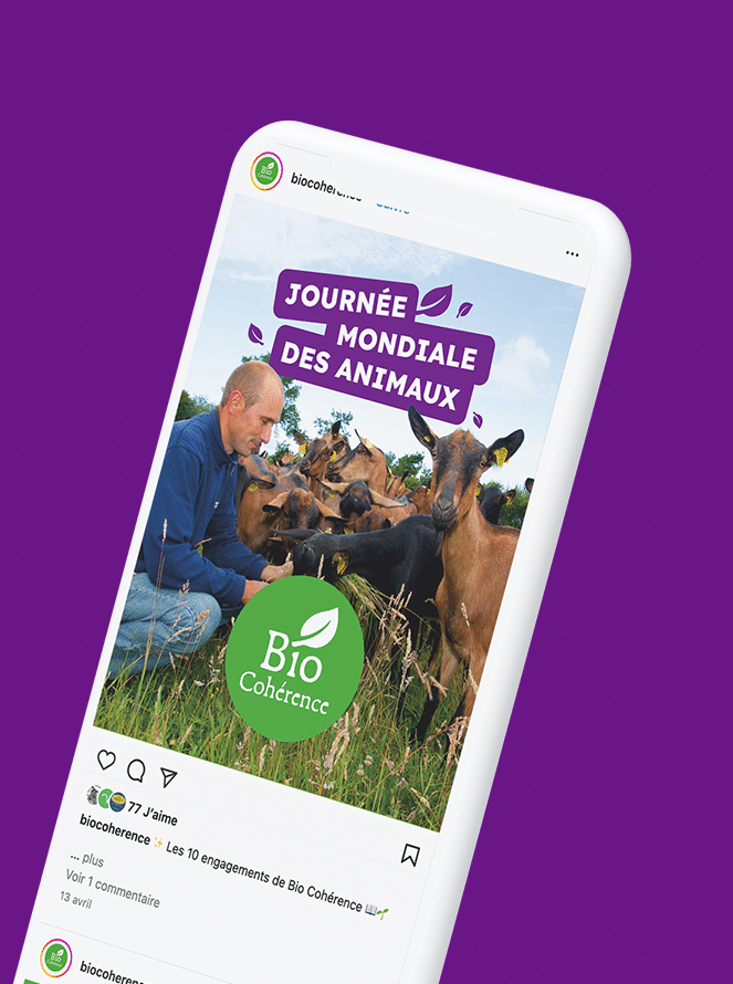 Agence digitale - Community management