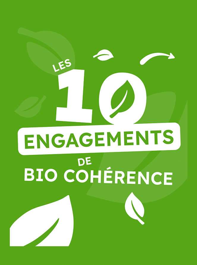 Gestion réseaux sociaux agence