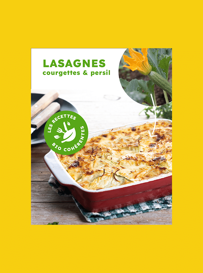 Agence digitale - création de contenu