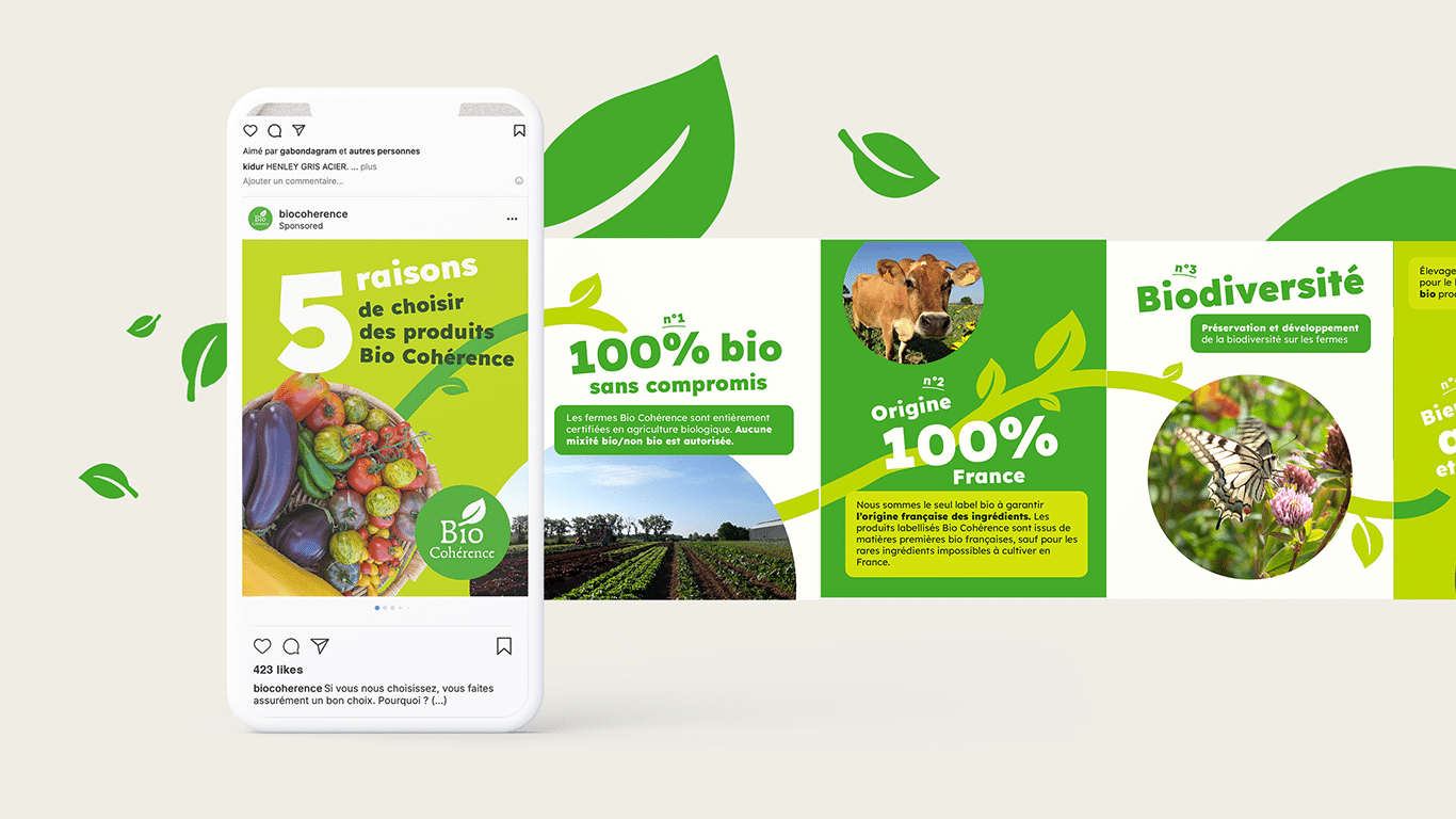 Création de contenus réseaux sociaux - Bio