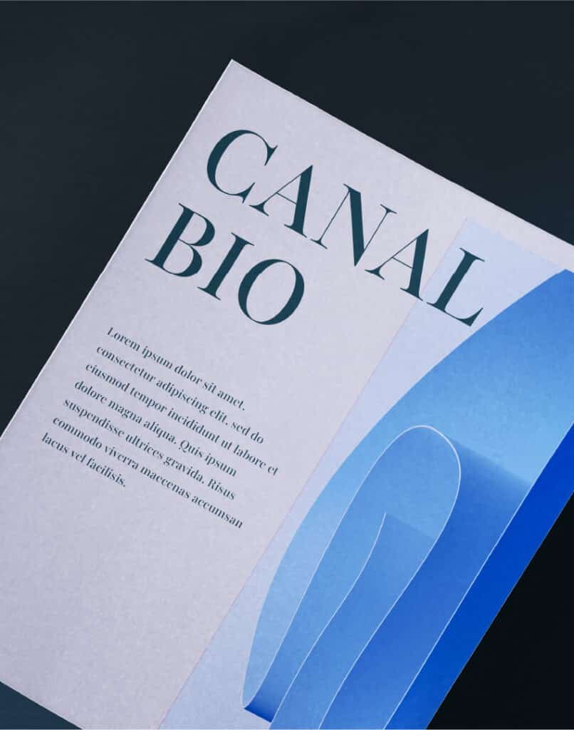 Agence de branding - création d'identité visuelle